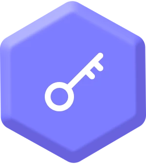 solution icon